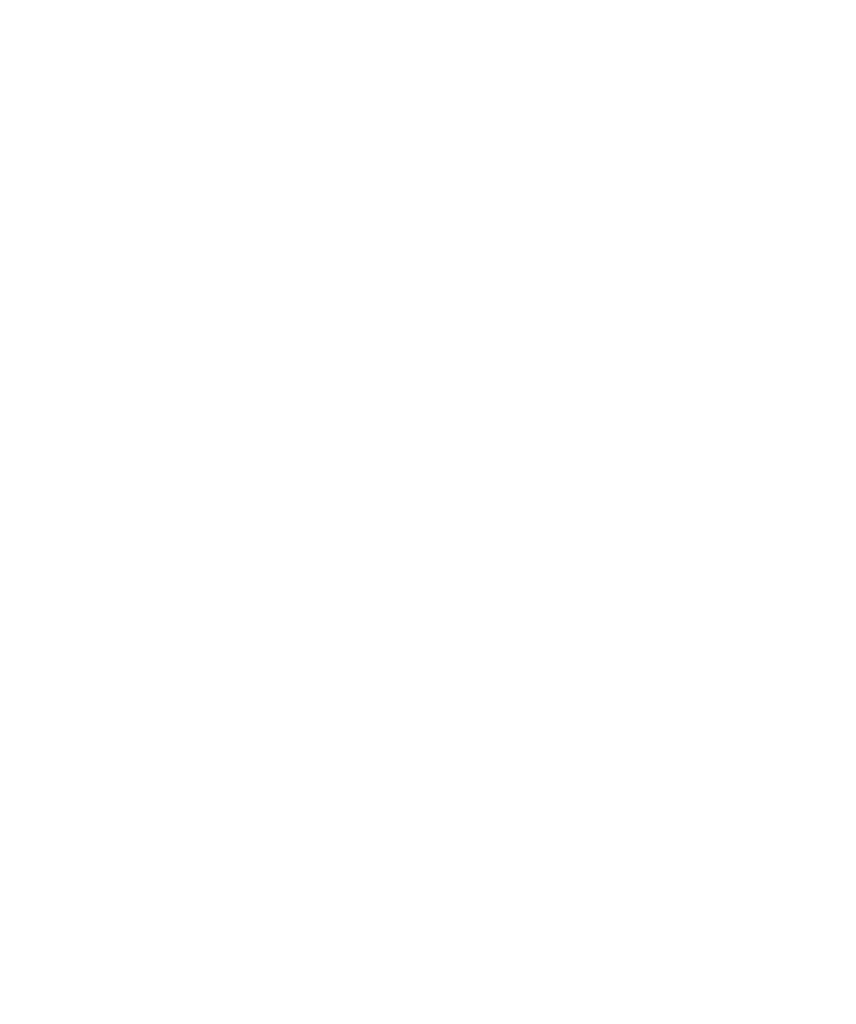 Turchi Properties
